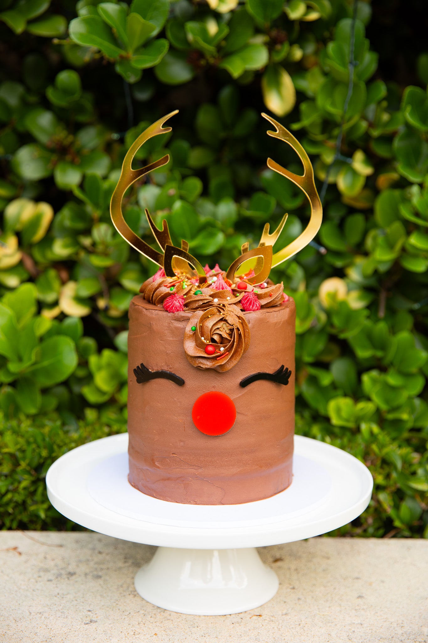 Christmas Reindeer Cake